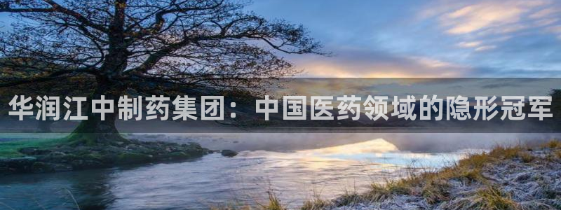 ag九游会老哥俱乐部：华润江中制药集团：中国医药领域的隐形冠军