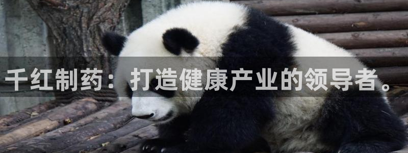 九游会老哥俱乐部官网