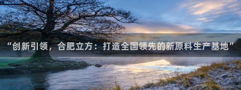 老哥俱乐部是干什么的啊：“创新引领，合肥立方：打造全国领先的