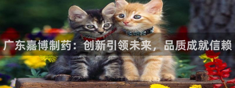 九游老哥俱乐部登录：广东嘉博制药：创新引领未来，品质成就信赖