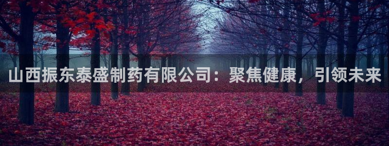 九游会老哥俱乐部社区论坛：山西振东泰盛制药有限公司：聚焦健康，引领未来