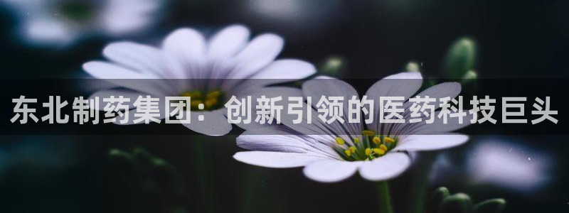 九游会老哥：东北制药集团：创新引领的医药科技巨头