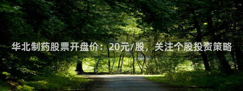 老哥俱乐部是干什么的：华北制药股票开盘价：20元/股，关注个