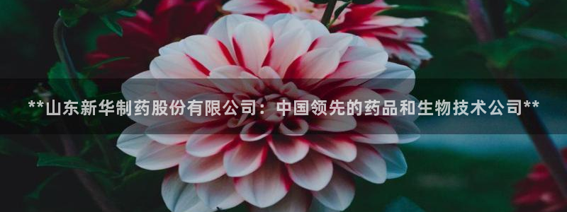 九游老哥俱乐部官网登录网址：**山东新华制药股份有限公司：中