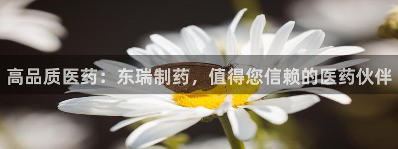 老哥吧九游会下架吗：高品质医药：东瑞制药，值得您信赖的医药伙