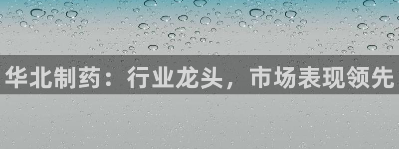 老哥吧九游会下架吗：华北制药：行业龙头，市场表现领先